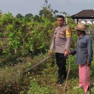 Dukung Ketahanan Pangan, Bhabinkamtibmas Desa Kuranji Dalang Dampingi Petani