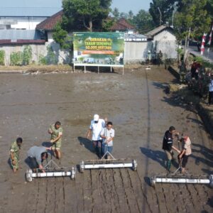 Kolaborasi TNI dan Petani Wujudkan Swasembada Pangan di Lombok Barat