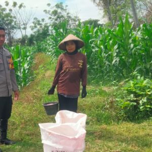 Dukung Program Asta Cita Presiden RI, Bhabinkamtibmas Desa Mokong Sambangi Petani di Persawahan