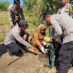 Gegerkan Warga, Sesosok Bayi Ditemukan Meninggal Dunia di Lahan Jagung Badas