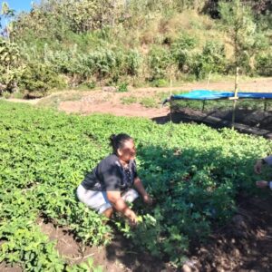 Dukung Asta Cita Ketahanan Pangan, Bhabinkamtibmas Desa Labuhan Badas Motivasi Warga Optimalkan Lahan Produktif