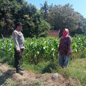 Dukung Pangan Bergizi, Bhabinkamtibmas Desa Labuhan Burung Ajak Warga Optimalkan Lahan Produktif