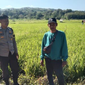 Dukung Asta Cita Ketahanan Pangan, Bhabinkamtibmas Desa Padasuka Motivasi Petani Optimalkan Lahan Produktif