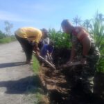 Babinsa Lembar Dampingi Petani Perkuat Infrastruktur Pertanian