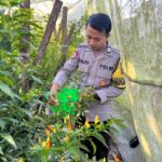 Bhabinkamtibmas Desa Kumbang Dorong Ketahanan Pangan dan Ajak Warga Jaga Kamtibmas