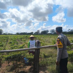 Bhabinkamtibmas Desa Suka Damai Sambangi Petani Cabai dan Ajak Manfaatkan Pekarangan