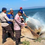 Sat Polairud Polres Dompu Perkuat Kemitraan dengan Masyarakat Lewat Aksi Bersih Pantai, Polisi Penolong, dan Binmas Perairan