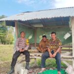 Dukung Ketahanan Pangan, Bhabinkamtibmas Desa Mumbu Dampingi Petani Siapkan Lahan Bawang Merah