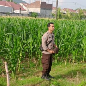Cara Polsek Labuapi Dorong Swasembada Pangan Lokal