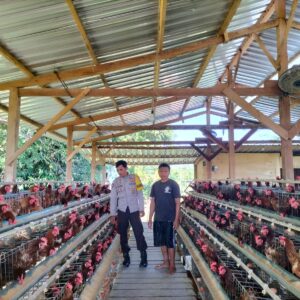 Dukung Program Ketahanan Pangan Bhabinkamtibmas Desa Sakra Selatan Monitoring