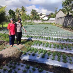 Bhabinkamtibmas Desa Paokmotong Monitoring Program Ketahanan Pangan, Dorong Pemanfaatan Pekarangan Bergizi untuk Swasembada Pangan