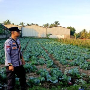 Bhabinkamtibmas Desa Masbagik Timur Monitoring Ketahanan Pangan dan Ajak Warga Jaga Kamtibmas