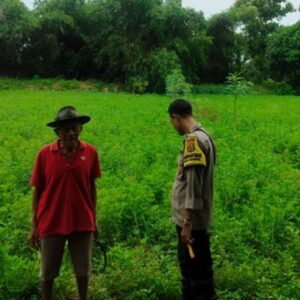 Bhabinkamtibmas Lombok Barat dampingi Petani Desa Bengkel