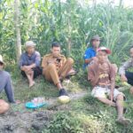 Bhabinkamtibmas Desa Suradadi Laksanakan Silaturahmi dan Sambang kepada Tokoh Masyarakat serta Kelompok Tani Obes