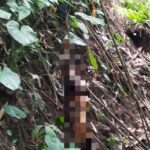 Polresta Loteng Olah TKP Penemuan Mayat Tergantung di Kawasan Hutan BKU. ‎