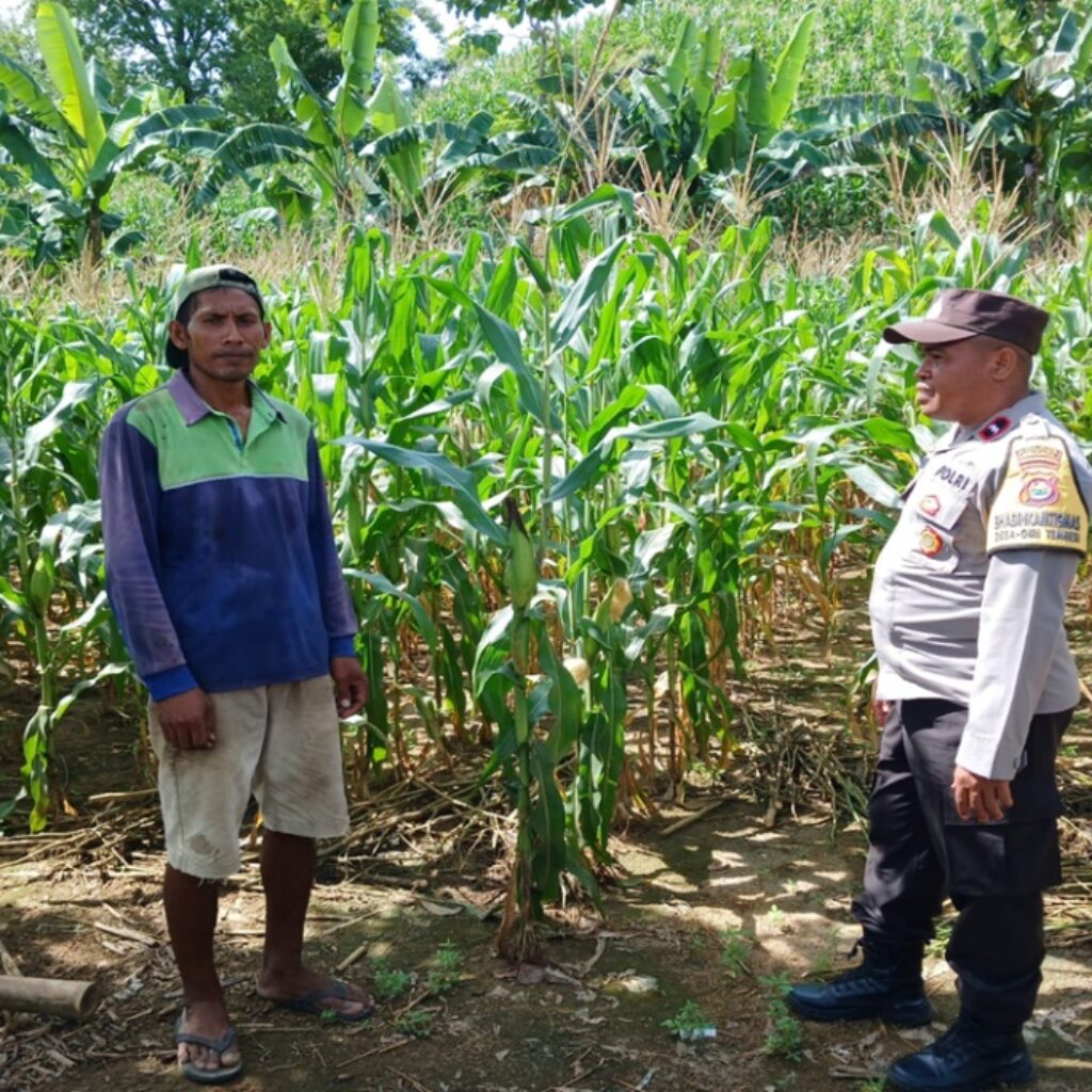 Perkuat Pangan Lokal, Bhabinkamtibmas Polsek Gerung Turun Langsung Sambangi Petani