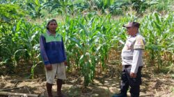 Perkuat Pangan Lokal, Bhabinkamtibmas Polsek Gerung Turun Langsung Sambangi Petani