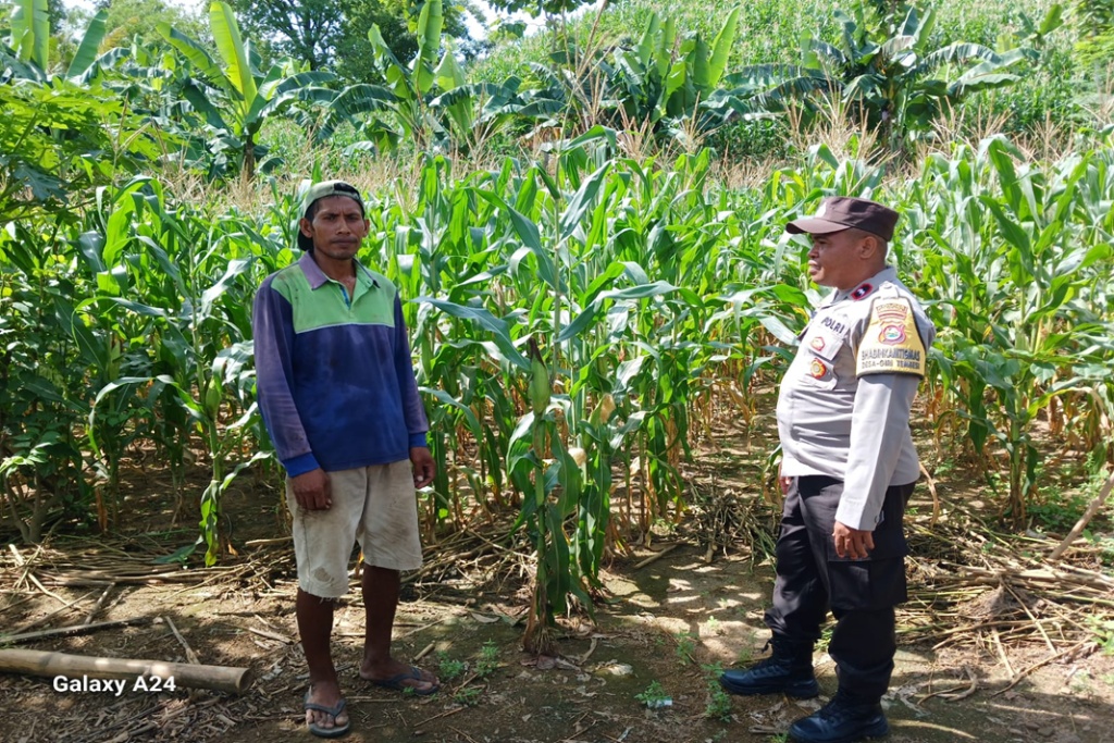 Perkuat Pangan Lokal, Bhabinkamtibmas Polsek Gerung Turun Langsung Sambangi Petani