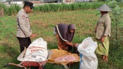 Dorong Kemandirian Pangan di Lombok Barat, Bhabinkamtibmas Karang Bongkot Sambangi Warga
