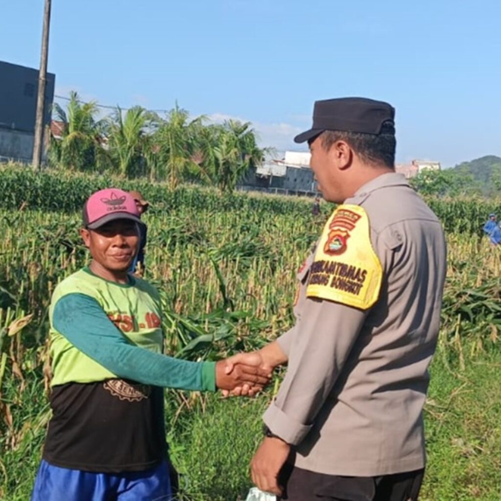 Sinergi Bhabinkamtibmas dan Petani Lombok Barat Perkuat Ketahanan Pangan Desa