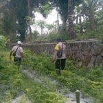 Bhabinkamtibmas Desa Kesik Cek Lahan Ketahanan Pangan Bergizi, Dukung Budidaya Tanaman Cabai