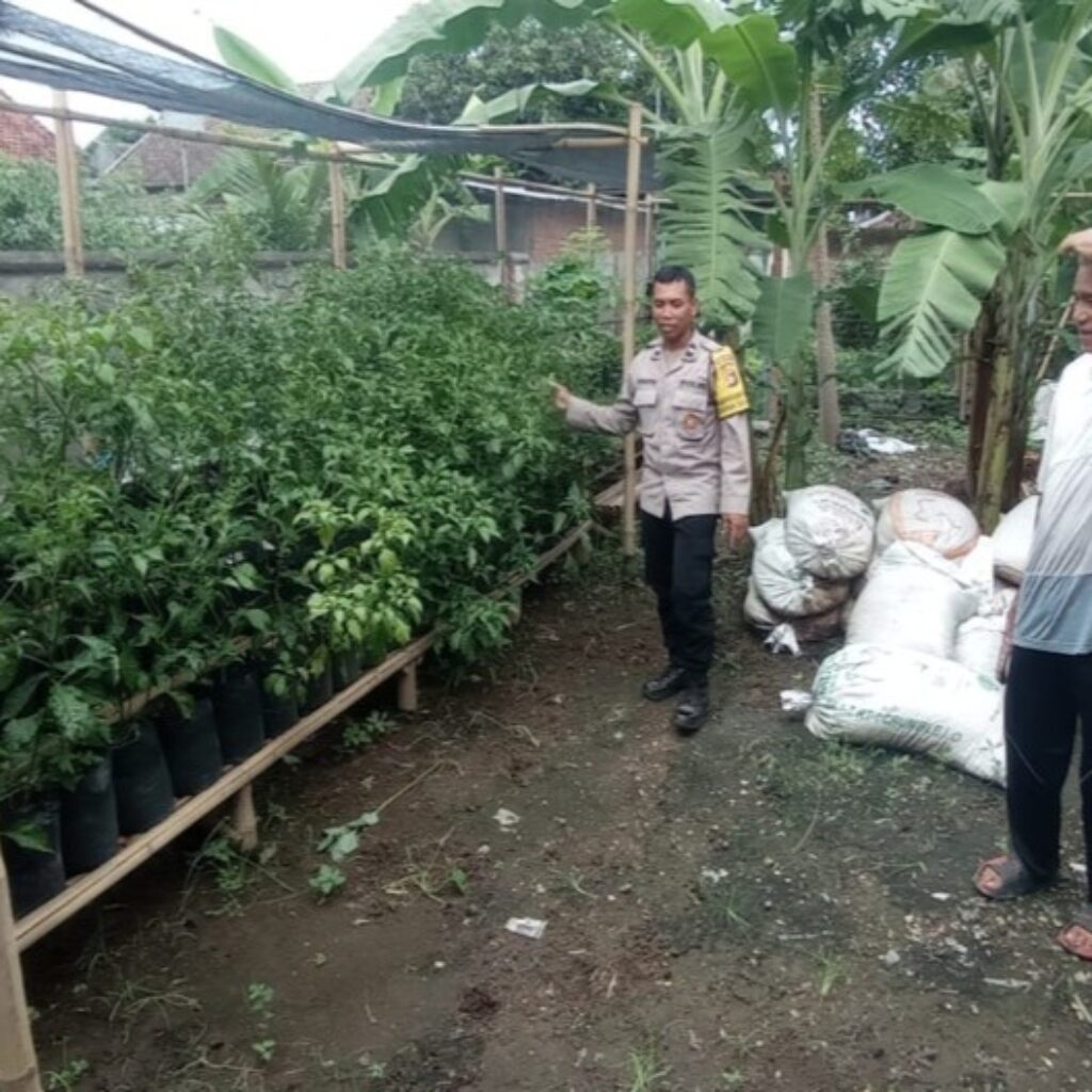 Solusi Keterbatasan Lahan, Bhabinkamtibmas Gerung Edukasi Warga Tanam Sayur Menggunakan Polybag