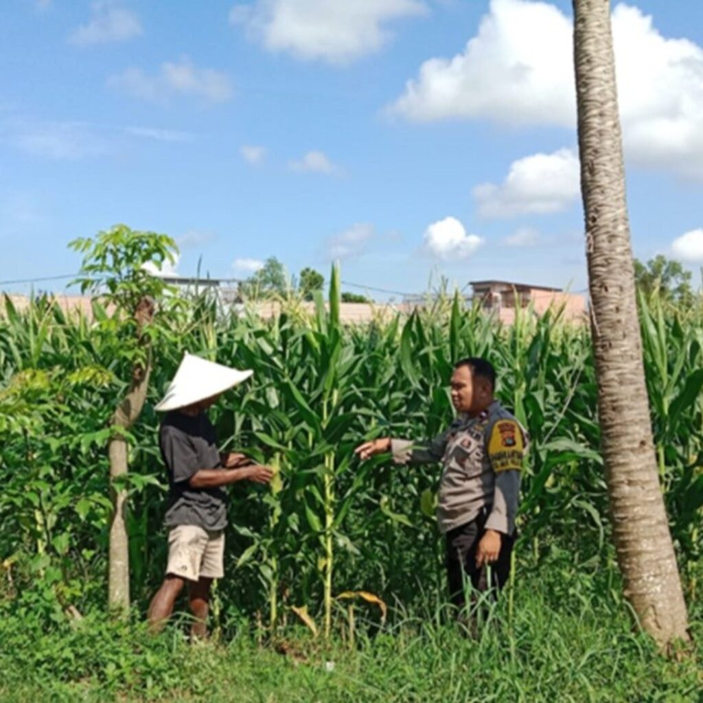 Dukung Swasembada Pangan, Polsek Labuapi Turun Langsung Mendampingi Petani di Lombok Barat