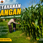 Bhabinkamtibmas Desa Paokmotong Monitoring Pekarangan Pangan Bergizi, Dukung Swasembada Pangan Nasionalmatis