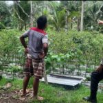 Bhabinkamtibmas Desa Kumbang Monitoring Ketahanan Pangan dan Ajak Masyarakat Jaga Kamtibmas