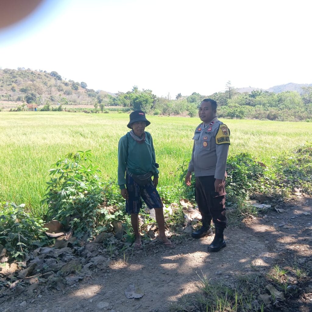 Dukung Ketahanan Pangan Nasional, Bhabinkamtibmas Desa Pemasar Tinjau Langsung Perawatan Sawah Warga