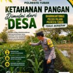 Dukung Astacita, Polsek Palang Polresta Tuban Pantau Langsung Lahan Jagung milik warga Desa Dawung