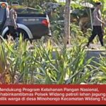 Mendukung Program Ketahanan Pangan, Polsek Widang Patroli Kawasan Lahan Pertanian Jagung