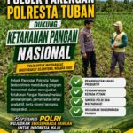 DUKUNG KETAHANAN PANGAN NASIONAL, BHABINKAMTIBMAS DESA PACING POLSEK PARENGAN MELAKSANAKAN PENDAMPINGAN PETANI JAGUNG DI DESA PACING KEC. PARENGAN.