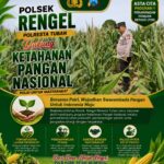 Polri Dukung Astacita, Polsek Rengel Polresta Tuban Turun Cek Tanaman Jagung Warga di Desa Maibit
