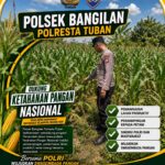 BHABINKAMTIBMAS POLSEK BANGILAN LAKSANAKAN MONITORING TANAMAN JAGUNG DALAM RANGKA MENDUKUNG KETAHANAN PANGAN NASIONAL