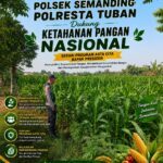 Polri Dukung Astacita, Polsek Semanding Polresta Tuban Turun Cek Tanaman jagung milik Warga di Desa Prunggahan wetan