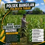 POLSEK BANGILAN MONITORING KETAHANAN PANGAN TANAMAN JAGUNG