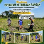 Anggota Bhabinkamtimas Polsek Senori Polresta Tuban Membantu Proses Pemupukan Tanaman Jagung Warga Desa Wanglukulon
