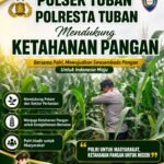 Bhabinkamtibmas Polsek Tuban Sambangi Lahan Jagung, Dukung Program Ketahanan Pangan Nasional