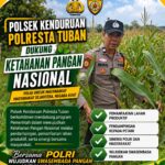 Polisi RW Polsek Kenduruan Polresta Tuban Cek Lahan Jagung Warga, Wujud Nyata Dukung Ketahanan Pangan Nasional