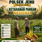 Polisi Polsek jenu Polres Tuban Turun ke Ladang, Dampingi Petani Jagung Dukung Ketahanan Pangan