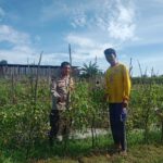 BHABINKAMTIBMAS DESA SUKA DAMAI SAMBANG WARGA, DORONG PEMANFAATAN LAHAN PEKARANGAN UNTUK KETAHANAN PANGAN
