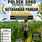 Polsek Soko Polresta Tuban Turun Langsung Cek Tanaman Jagung Warga