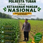 Polri Dukung Astacita, Polsek Merakurak Polres Tuban Turun Cek Tanaman Jagung Warga di Desa Tuwiri Wetan