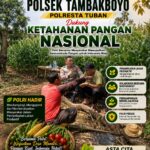 Polsek Tambakboyo Polres Tuban Turun Cek Tanaman jagung Warga di Desa Ngulahan