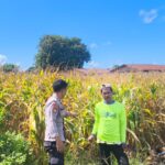 Dukung Ketahanan Pangan Nasional, Bhabinkamtibmas Desa Suka Mulya Sambangi Petani dan Dorong Persiapan Tanam Jagung