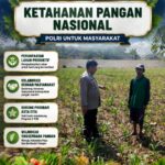 Bhabinkamtibmas pantau pertumbuhan jagung di Desa Binaan, dukung Ketahanan Pangan.