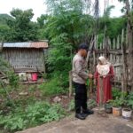 Bhabinkamtibmas Desa Dorebara Pantau Budidaya Sayuran di Pekarangan Warga, Dukung Program Pemerintah