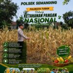 Polri Dukung Astacita, Polsek Semanding Polresta Tuban Turun Cek Tanaman jagung milik Warga di Desa Ngino