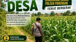 Dukung Program ASTACITA, Bhabinkamtibmas Desa Parangbatu Polsek Parengan Polresta Tuban laksanakan sambang tanaman Jagung Di Desa Parangbatu Kec. Parengan